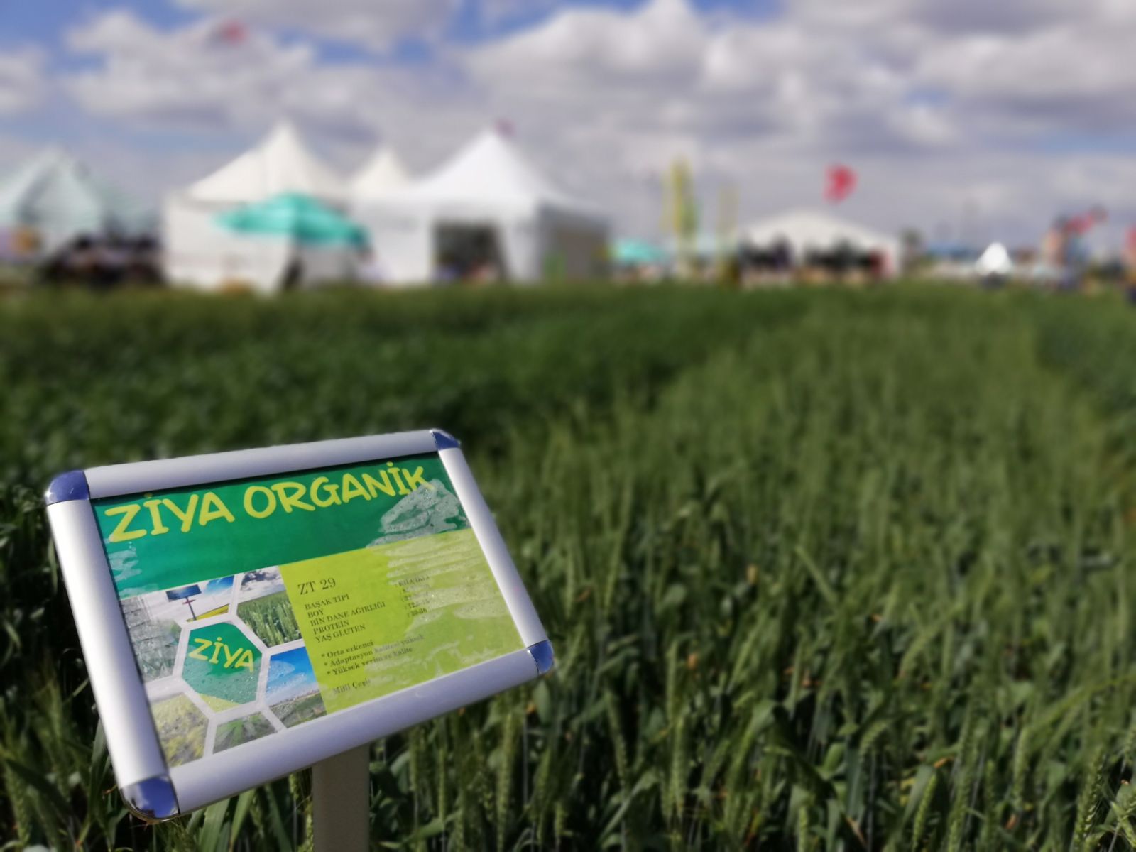 DLG TARLA VE TEKNOLOJİ GÜNLERİ FUARI